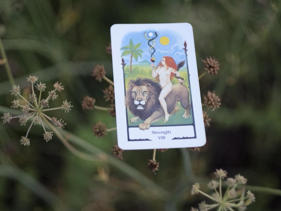 The Strength tarot card photographed outdoors