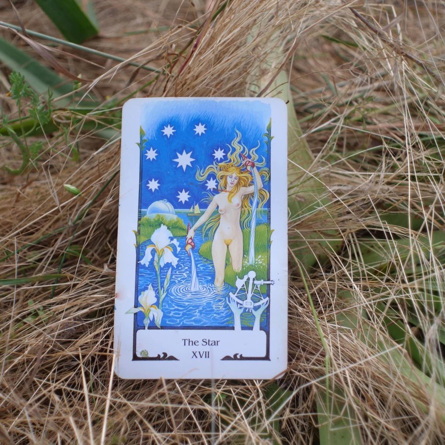 The Star tarot card photographed in dry grass