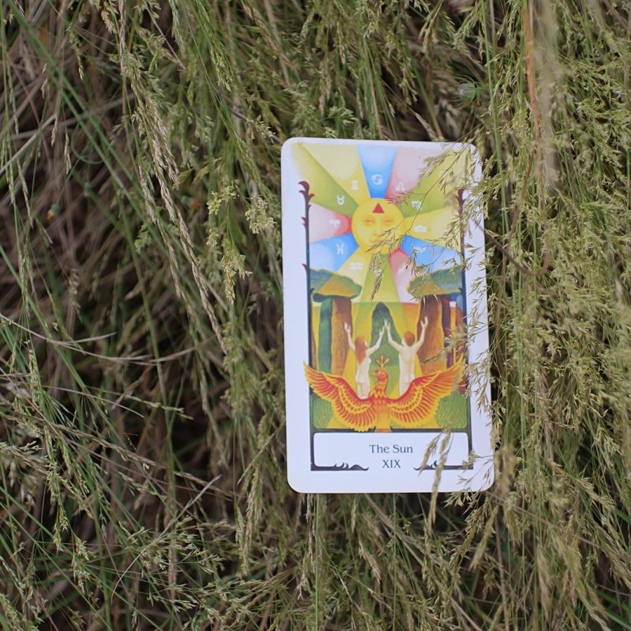 A tarot card photographed in the field