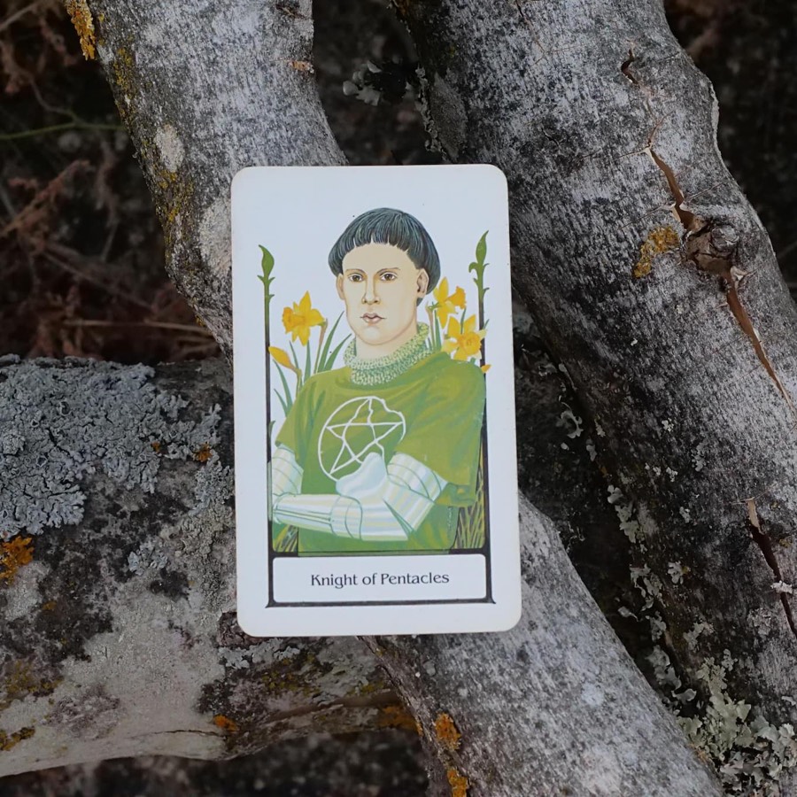 The Knight of Pentacles tarot card photographed outdoors