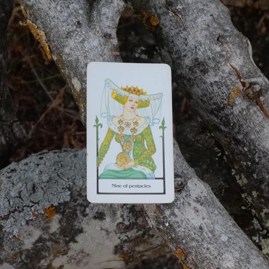 The Nine of Pentacles tarot card photographed outdoors