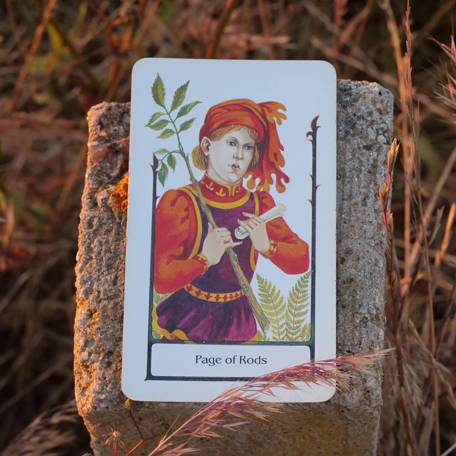 The Page of Wands tarot card photographed outdoors