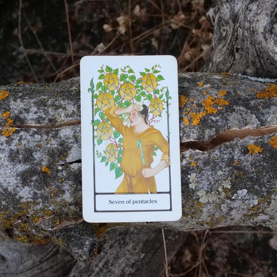 The Seven of Pentacles tarot card photographed outdoors