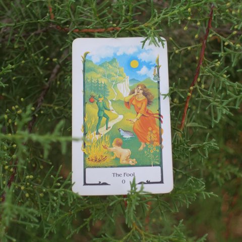 The Fool tarot card, photographed outdoors