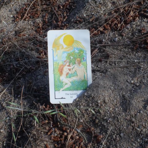 The Lovers tarot card, photographed outdoors
