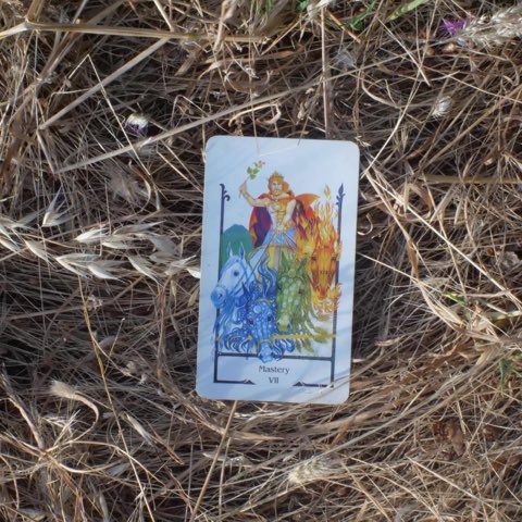 The Chariot tarot card, photographed outdoors