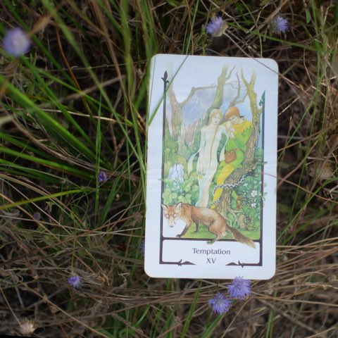 The Devil tarot card, photographed outdoors