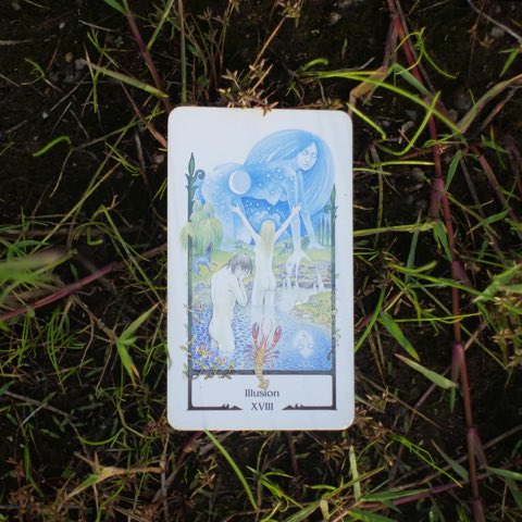 The Moon tarot card, photographed outdoors