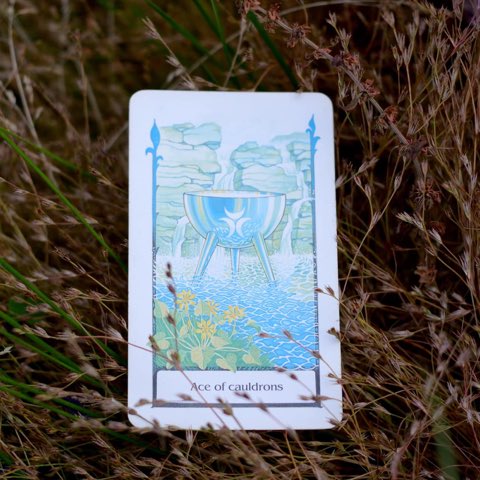 Ace of Cups tarot card, photographed outdoors
