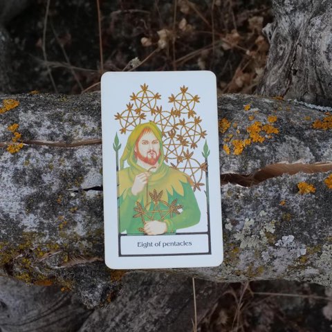 Eight of Pentacles tarot card, photographed outdoors