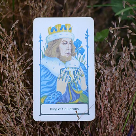 King of Cups tarot card, photographed outdoors