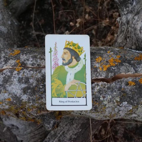 King of Pentacles tarot card, photographed outdoors