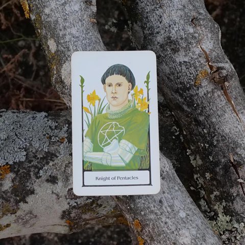 Knight of Pentacles tarot card, photographed outdoors