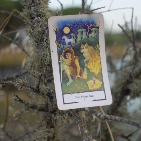 The Magician tarot card, photographed outdoors