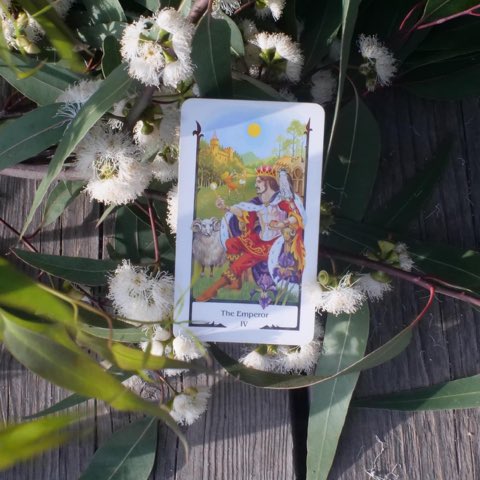 The Emperor tarot card, photographed outdoors