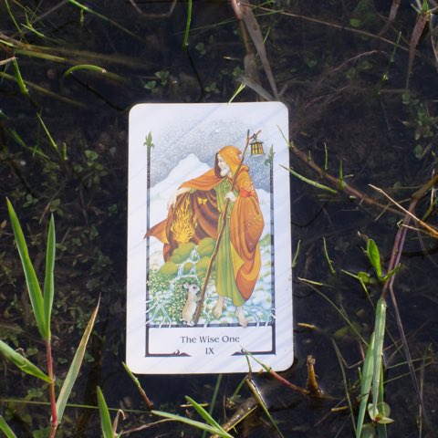 The Hermit tarot card, photographed outdoors