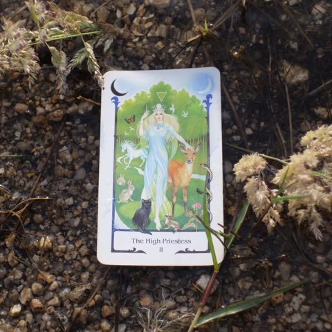 The High Priestess tarot card, photographed outdoors