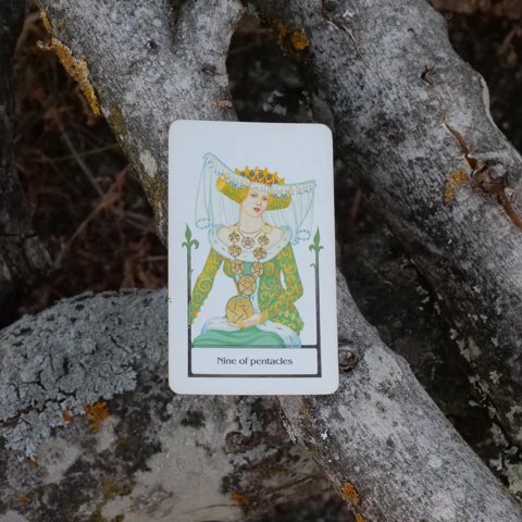 Nine of Pentacles tarot card, photographed outdoors