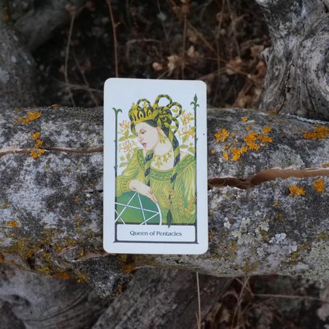 Queen of Pentacles tarot card, photographed outdoors