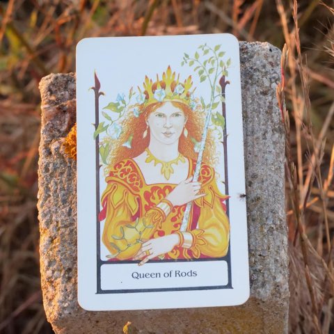 Queen of Wands tarot card, photographed outdoors