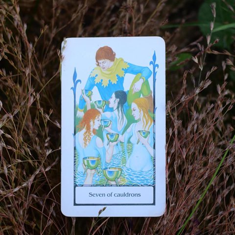 Seven of Cups tarot card, photographed outdoors