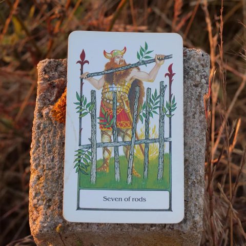 Seven of Wands tarot card, photographed outdoors