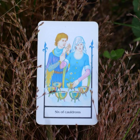 Six of Cups tarot card, photographed outdoors