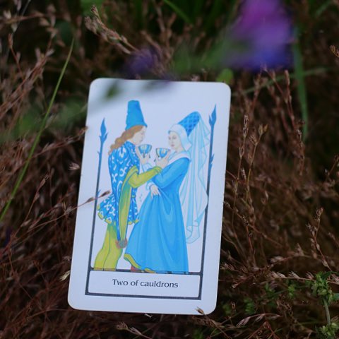 Two of Cups tarot card, photographed outdoors